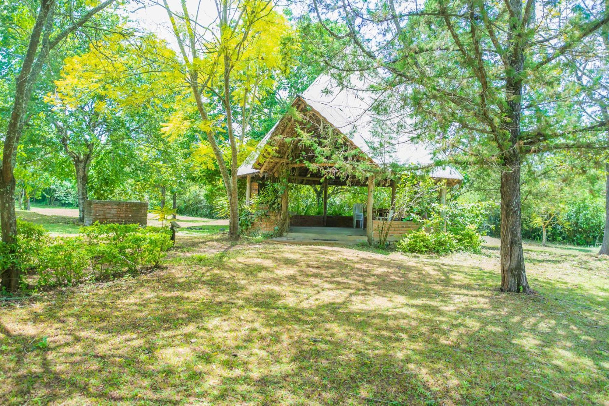 Meru Mbega Lodge Usa River Exterior photo